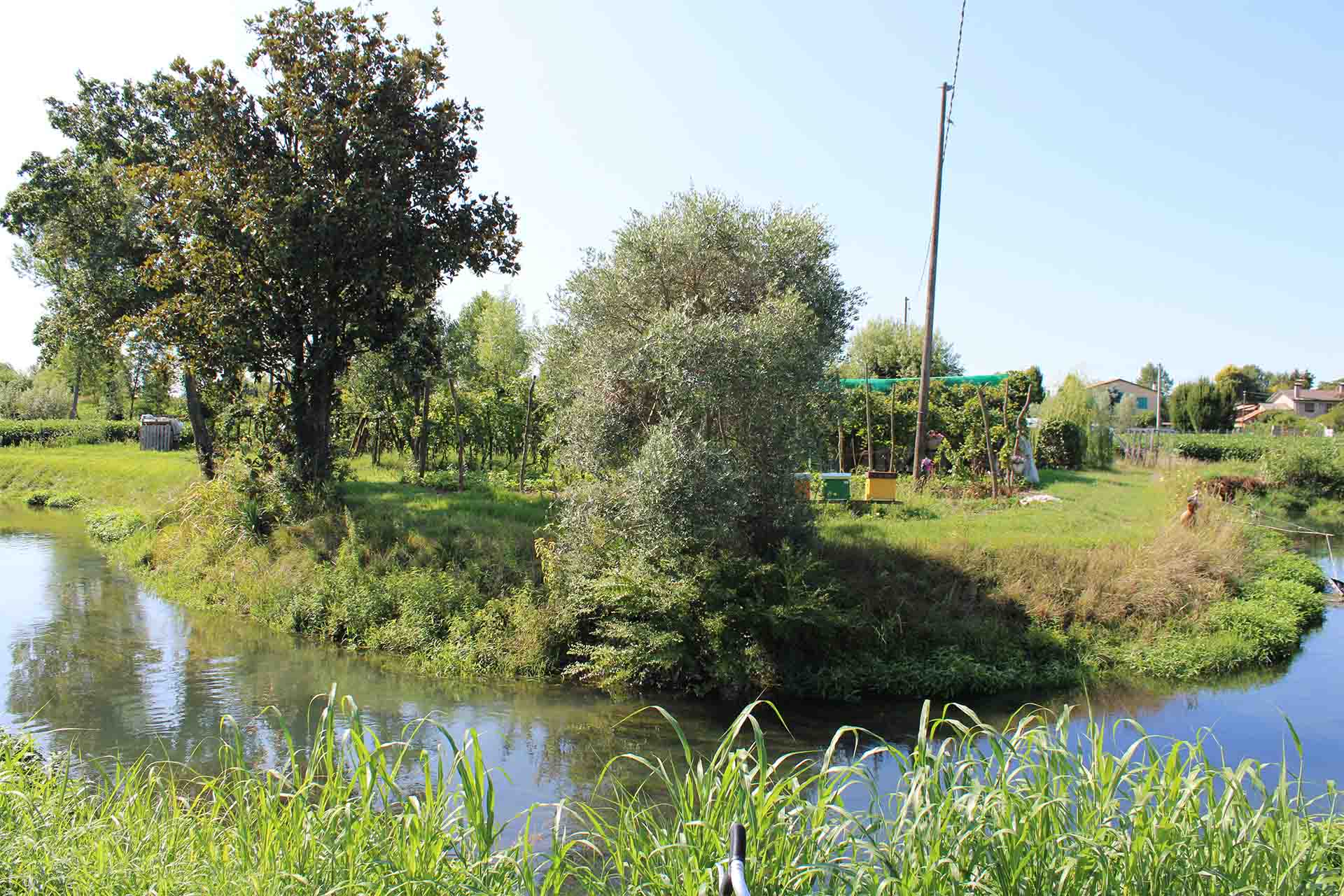 itinerario-immerso-nel-verde